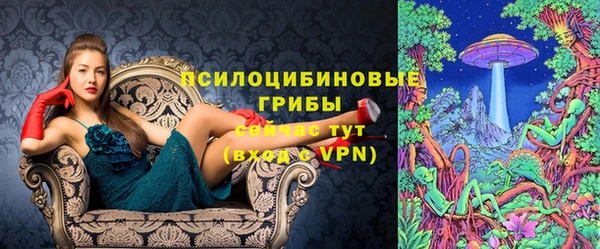 Альфа ПВП Аркадак