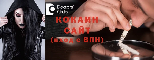 индика Покачи