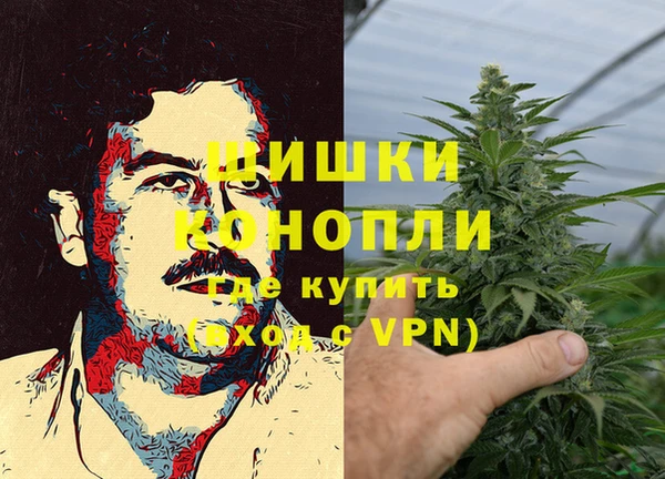 Альфа ПВП Аркадак