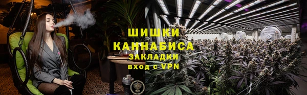 индика Покачи