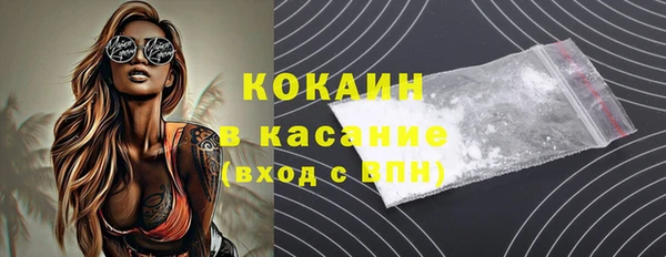 индика Покачи