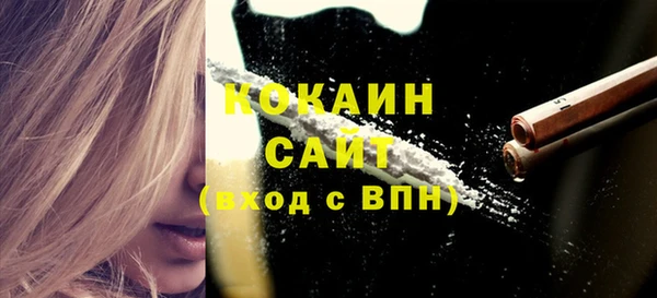 Альфа ПВП Аркадак
