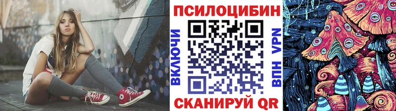 Галлюциногенные грибы Psilocybine cubensis  Миллерово 